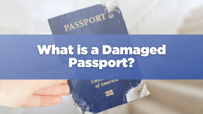 How to Avoid Passport Water Damage: A Guide to Document Care